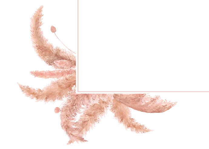 Header Pampas-2.png