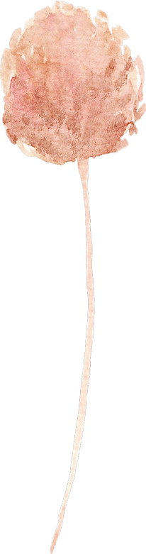 Pampas grass11.png