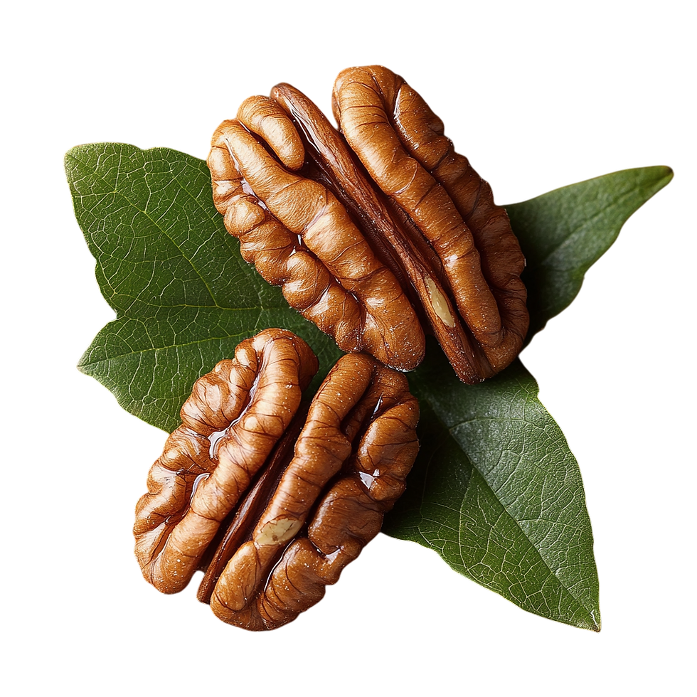 Pecan 2.png