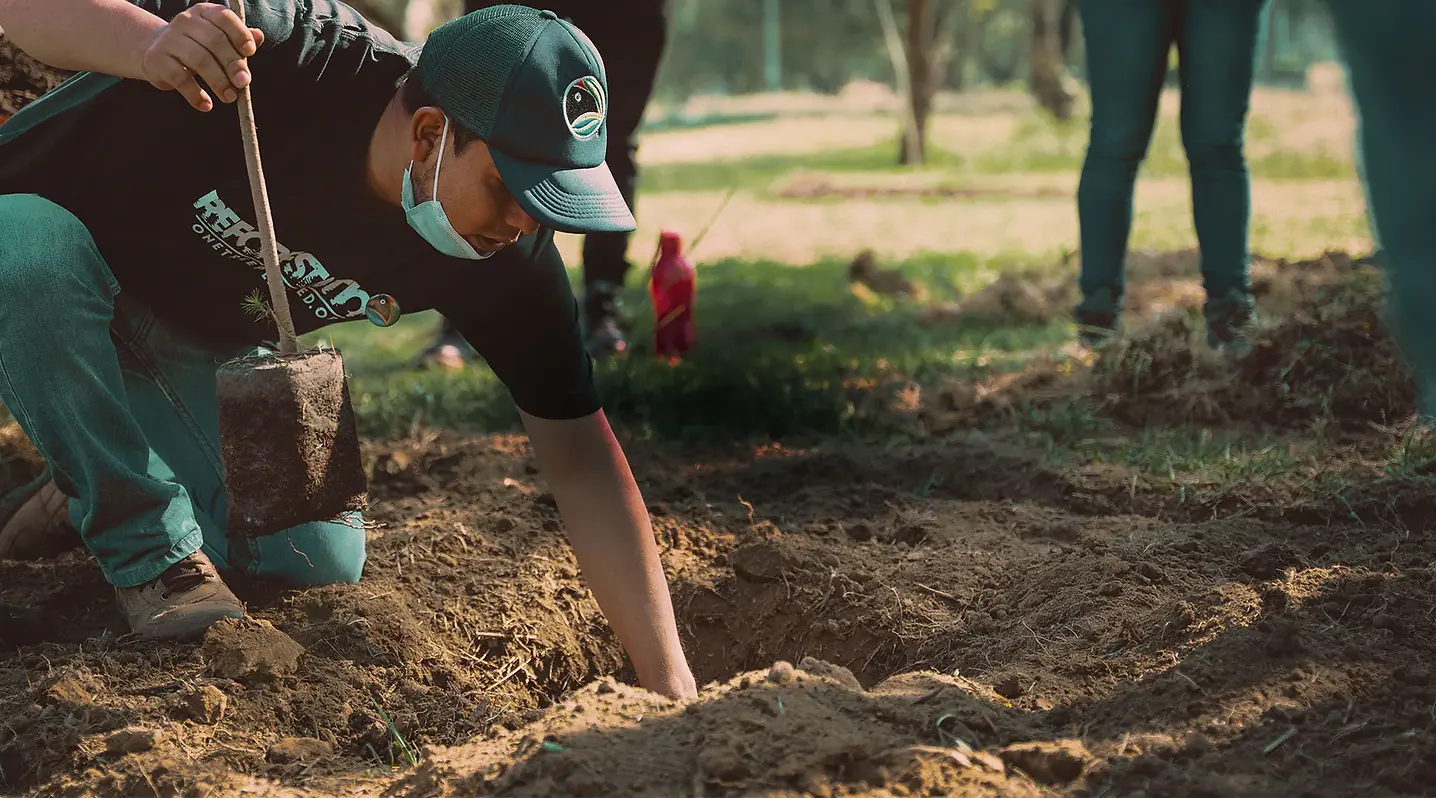 tree-planting-event_3000x.jpg.webp