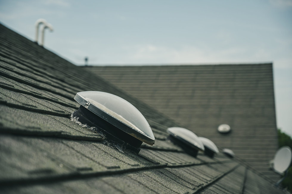 roof.jpeg