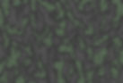 signature camo
