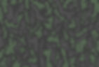 signature camo