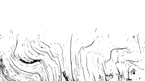 texture 2-02_edited.png