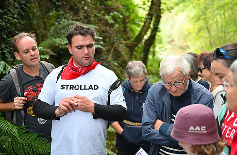 environnement_strollad_2023-11.jpg