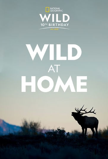 Wild at Home_edited.jpg