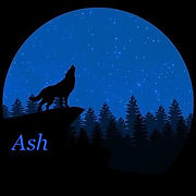 Wolf logo shirt.jpg