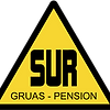 SUR.png