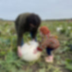 Woman and child picking a white pumpkin