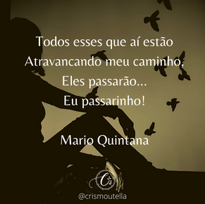 Eles passarão... Eu passarinho!