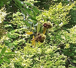 WhatsApp Image 2025-10-02 at 07.39.57 (1).jpeg