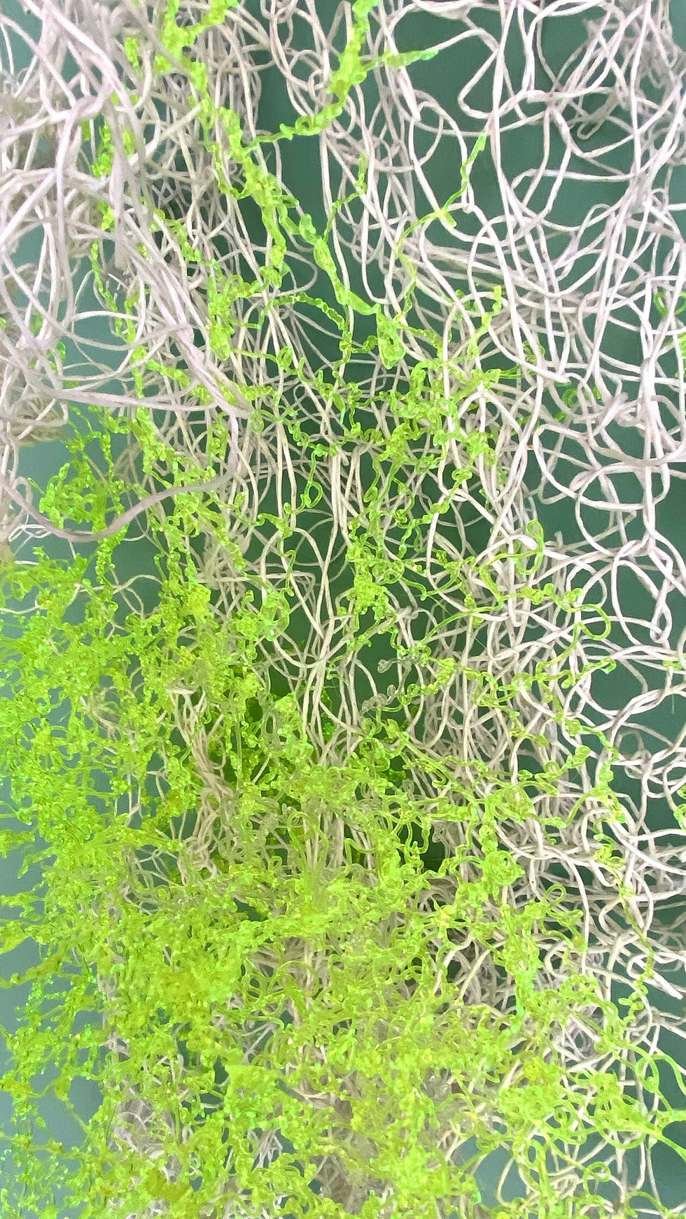 A new installation for expo Paal 20, at the Vishal in Haarlem