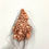 Thumbnail: Pods #2499