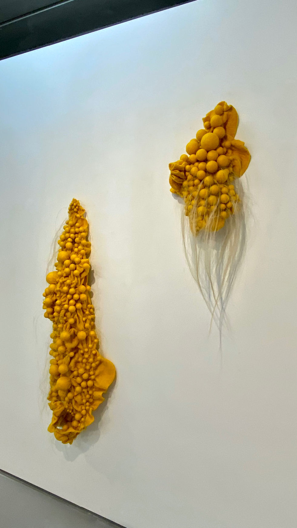 Pods #6698 and #697