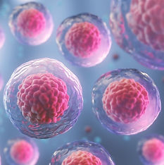 stem-cell-graphic_edited.jpg