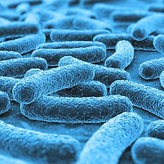 Screen Shot 2025-02-07 at 11.58_edited.jpg