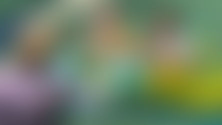 The People of Project Elevate Wyee Public School