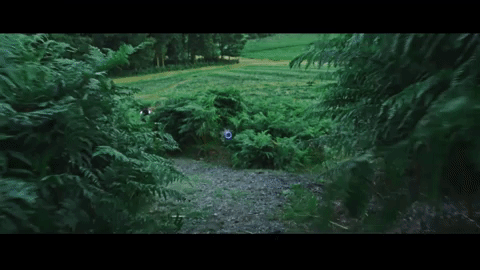 When All The Bees Flew Away | Trailer