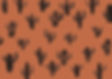 Cactus Pattern