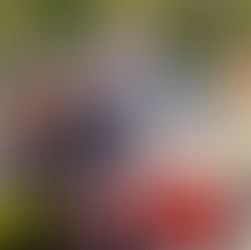 심포니 오브 에픽 X 레이디 액션