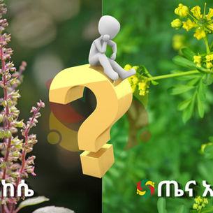 ዳማከሴ ወይስ ጤና አዳም ፡ የቱ ይሻላል?
