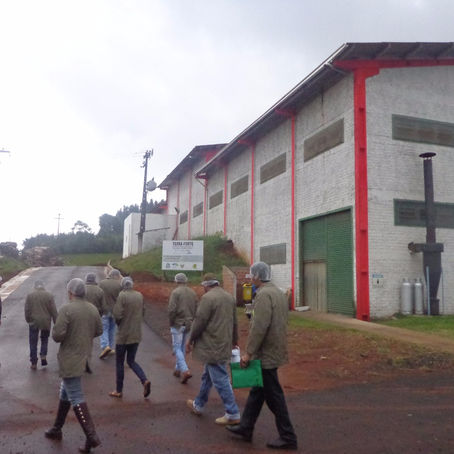 NECOOP e COPAIA visitam agroindústrias de plantas medicinais