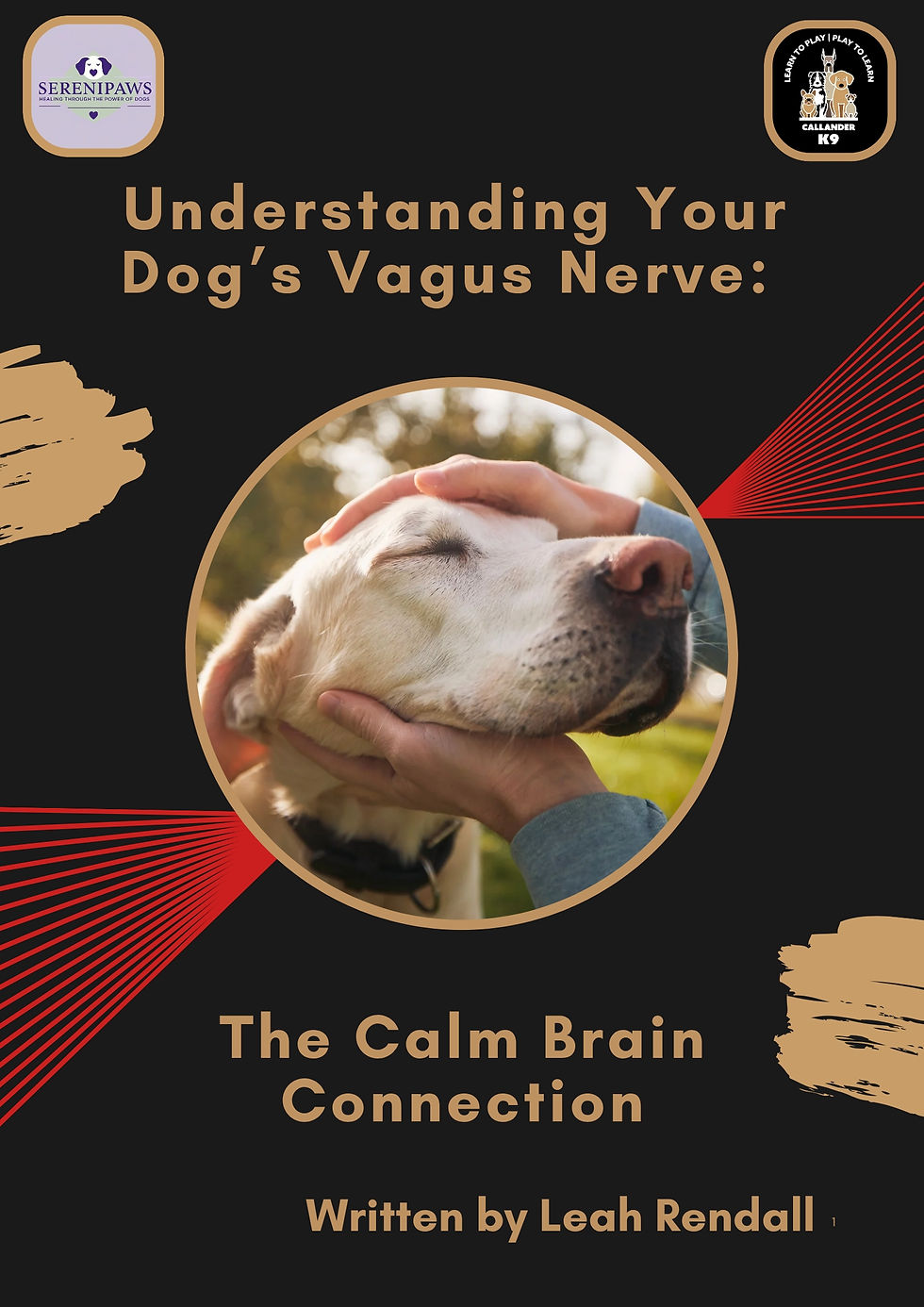 Dog's Vagus Nerve: The Calm Brain Connection