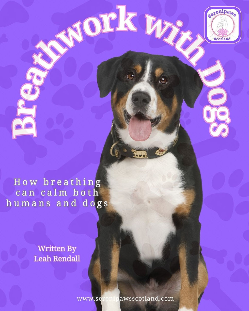 Thumbnail: Late-diagnosed ADHD women resources - 60-second breathwork for regulation