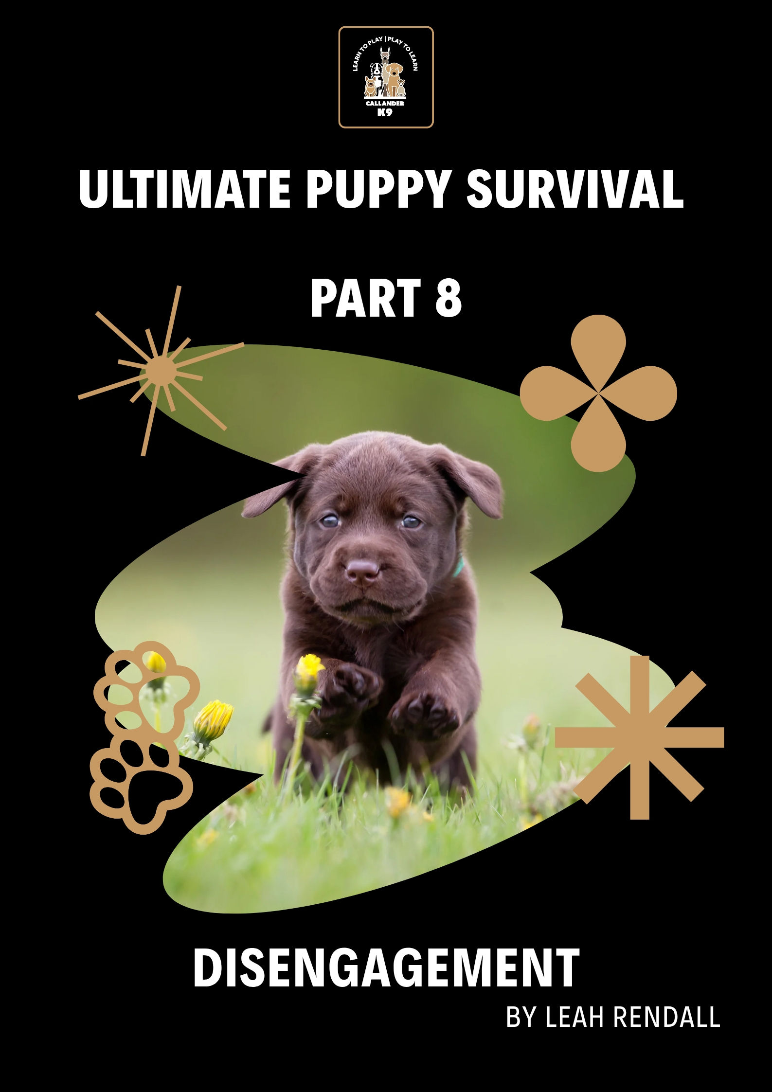Callander K9 Puppy Survival Guide Part 8 - Disengagement cover