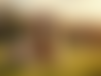 How Dogs Support ADHD Management