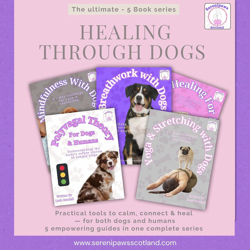 Calm and Connection 5-Book Bundle (Save £12)