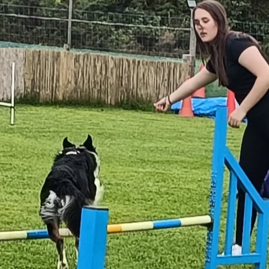 121 Training with Callander K9