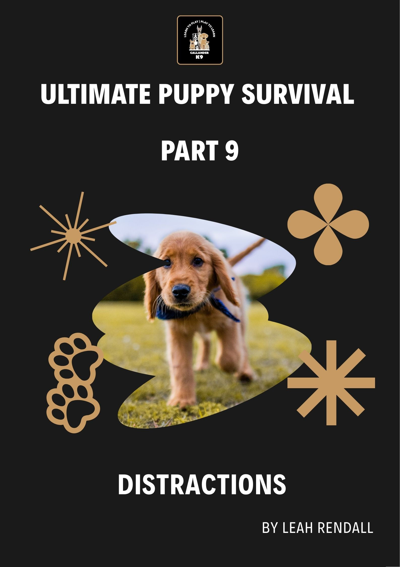 Callander K9 Puppy Survival Guide Part 9 - Distractions cover