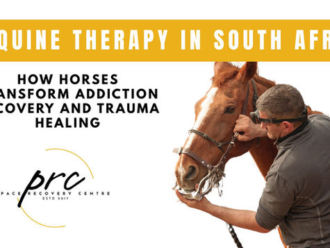 Equine Therapy in South Africa: How Horses Transform Addiction Recovery and Trauma Healing