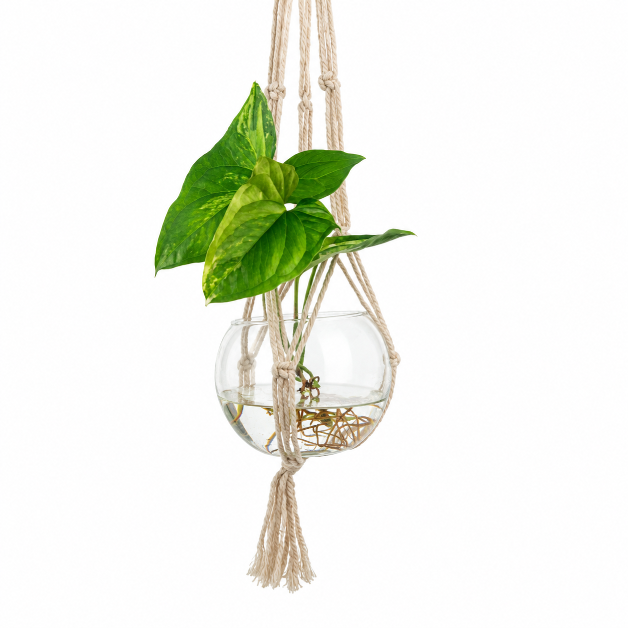 Bowl Vidrio con Macramé