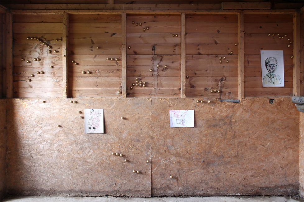 bill arning horse shed room1 wall1.jpg