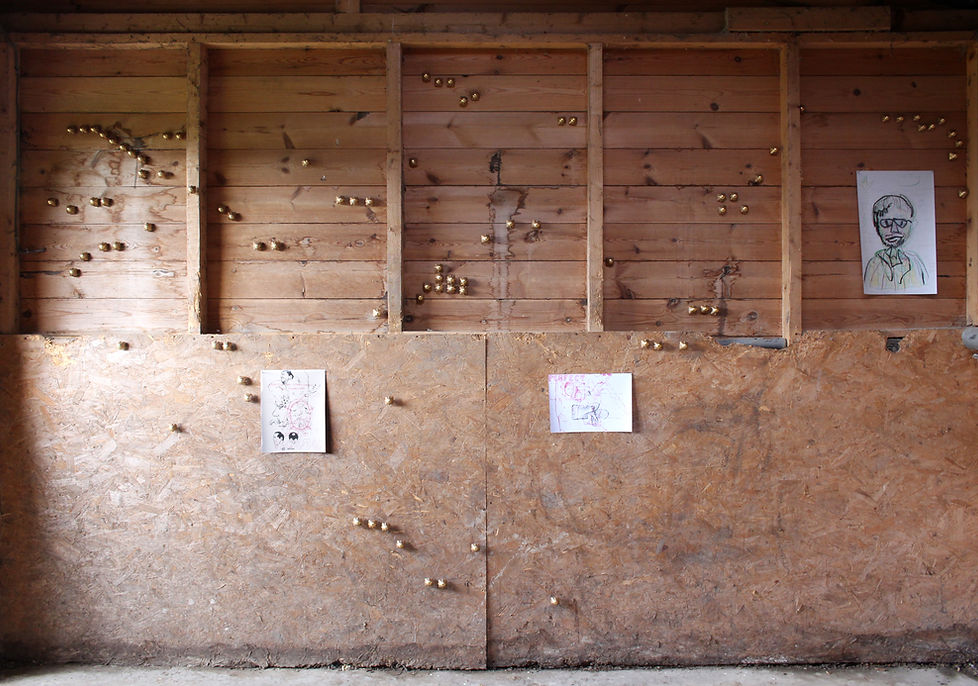 bill arning horse shed room1 wall1.jpg