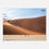 Thumbnail: Mother&Child_Sossulvlei_Namibia