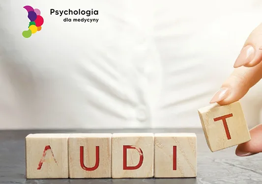 Audit blog