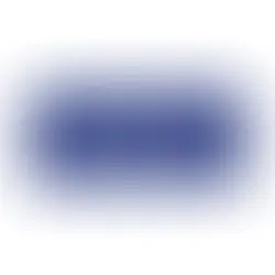 ZWIiSE ELEKTROMONTER