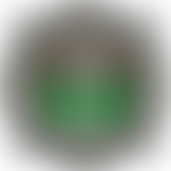 Zespół Szkół Techniczno-Motoryzacyjnych im. Jarosława Dąbrowskiego