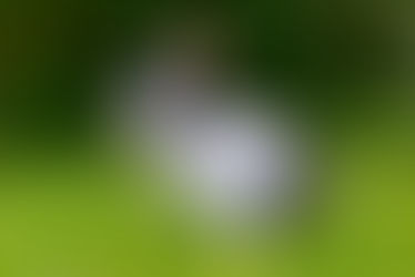 Cenoura faz bem para os olhos?