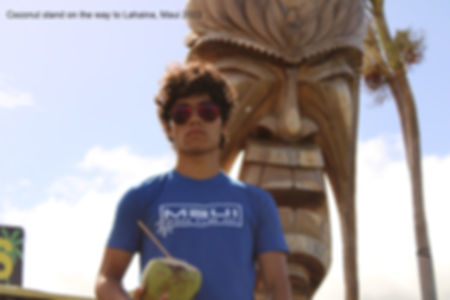 Maui New Turtle Shirt