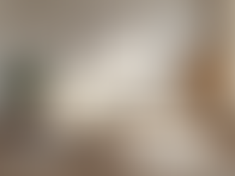 Why Home Staging is Vital for Real Estate