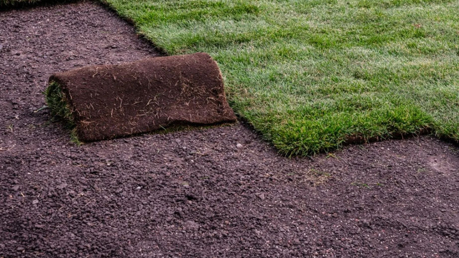 Sod installation