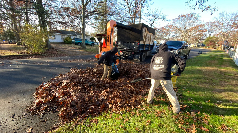 A crew performing a fall cleanup.