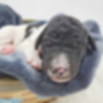 494689625_712461294799835_8306329644419656940_n_edited