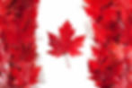 flag leaves.jpg