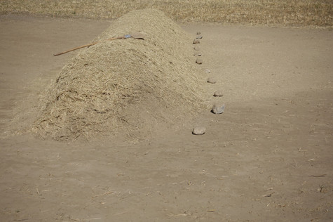 Still from Winnowing