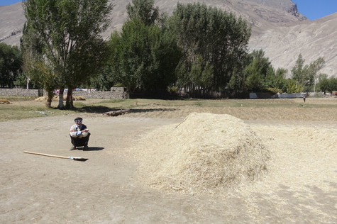 Still from Sift